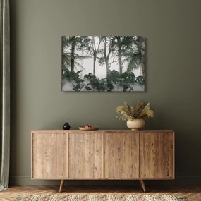Obraz - Jungle v rannej hmle (90x60 cm)