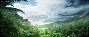 Obraz - Seychelská jungle (120x50 cm)