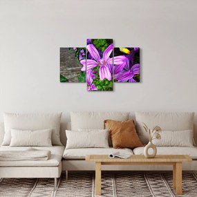Obraz - lúčne kvety (90x60 cm)