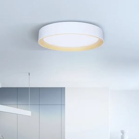 Brilagi -LED Stmievateľné svietidlo LARIOS LED/60W/230V 3000-6500K ø 49 cm biela+DO