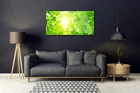 Skleneny obraz Listy príroda slnko rastlina 100x50 cm