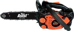 ASIST smart garden AB4P25-30 Reťazová píla 30 cm, 25,4 cm³