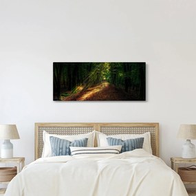 Obraz lesnej cesty (120x50 cm)
