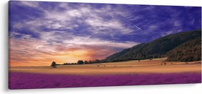Obraz levanduľovej lúky (120x50 cm)