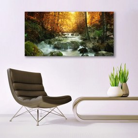 Obraz plexi Vodopád príroda les jeseň 120x60 cm