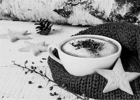 Obraz - Zimné cappuccino (70x50 cm)