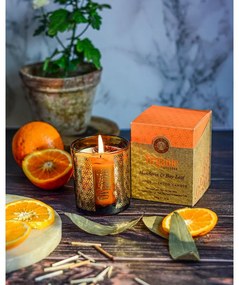 Organická vykurovacia sviečka Mandarin & Bay Leaf 200 g v skle so zlatou fóliou
