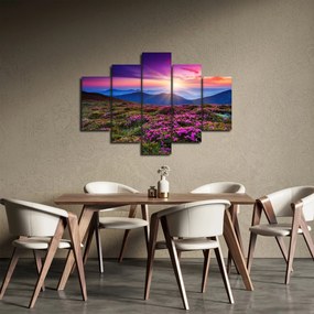 Obraz - Horská rozkvitnutá krajina (150x105 cm)