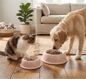 Kameninová miska pre domáceho miláčika ø 16 cm – Casafina