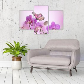 Obraz - Motýľ na kvetoch orchidey, lila (90x60 cm)