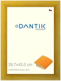 DANTIK rám na obraz 29,7x42 | LEDVINKA žlutá (Plexi Čiré)