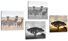 Set obrazov zvieratá žijúce na Savane - 4x 60x60