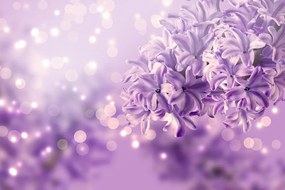 Samolepiaca tapeta fialový kvet orgovánu - 300x200