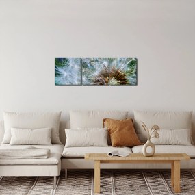 Obraz odkvitnutej púpavy (s hodinami) (90x30 cm)