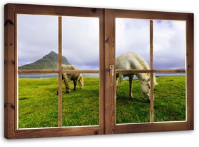 Gario Obraz na plátne Okno - pohľad na kone Rozmery: 60 x 40 cm