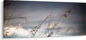Obraz - Lúčne kvety pri jazere (120x50 cm)