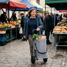 Nákupná taška na kolieskach EASY, 50l, šedá Monzana