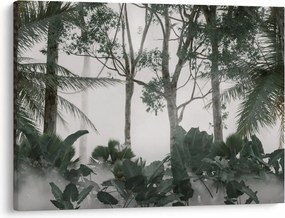 Obraz - Jungle v rannej hmle (70x50 cm)