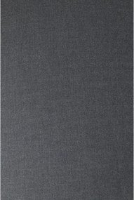 Tmavosivé záhradné ležadlo Blomus Coal