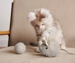 Súprava hračiek pre mačku