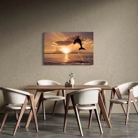 Obraz - Delfín pri západe slnka (90x60 cm)