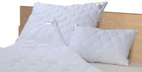 Stanex Thermo Vankúš 70x90 cm