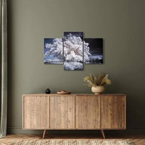 Obraz - Snehobiely strom (90x60 cm)