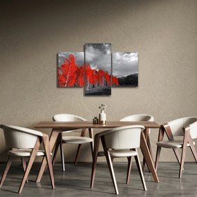 Obraz - Stromy vo farbe jesene (90x60 cm)