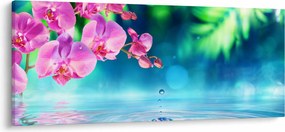 Obraz - Orchidea (120x50 cm)