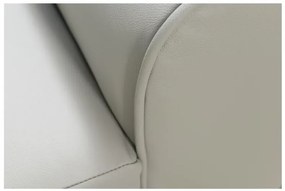 Kožené kreslo TOKIO, sivá (u-24)