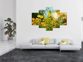 Obraz žltých kvetov (150x105 cm)