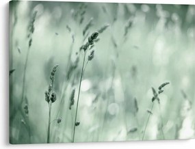 Obraz - Zelená lúka (70x50 cm)