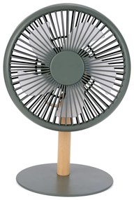 Zelená stolová lampa s ventilátorom na diaľkové ovládanie (výška 26 cm) Beyond – Gingko