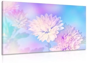 Obraz kvet chryzantémy - 90x60