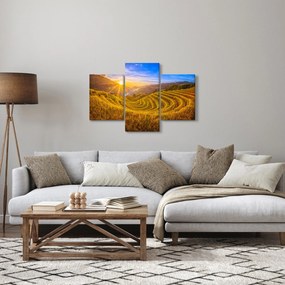 Obraz - Ryžové terasy vo Vietname (90x60 cm)