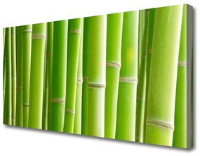 Obraz na plátne Bambus stonka kvet rastlina 120x60 cm
