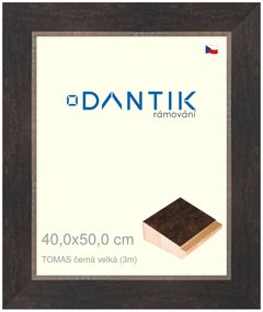 DANTIK rám na obraz 40x50 | TOMAS černá velká (Sklo Čiré)