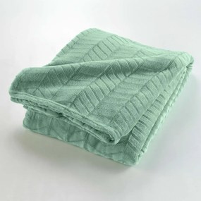 Svetlozelený pléd z mikroflanelu 180x220 cm Arya – douceur d'intérieur