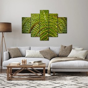 Obraz - Papraď (150x105 cm)