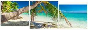 Obraz na plátne - Pláž s palmami - panoráma 584D (150x50 cm)