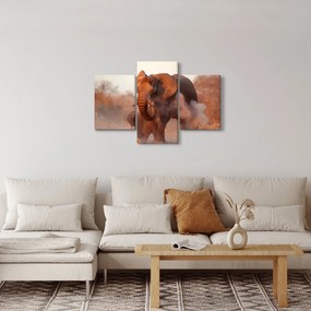 Obraz - Veľký slon africký (90x60 cm)