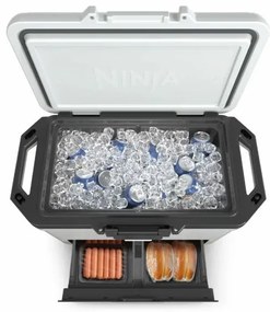 Ninja FB151EUWH chladiaci box Frost Vault, 47 l, L