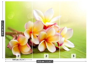 Fototapeta Vliesová Kríky kvety 208x146 cm