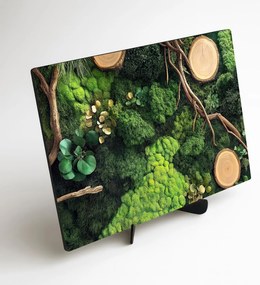 DUBLEZ | Zelený obraz - Oáza machu