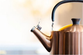 Varná kanvica z nehrdzavejúcej ocele v medenej farbe 1,5 l Diamante – Vialli Design