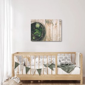 Sklenený obraz sukulentov v skle (70x50 cm)