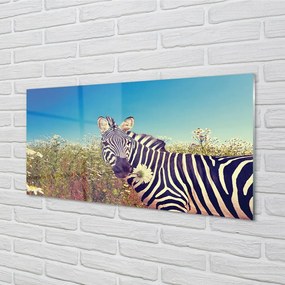 Sklenený obraz zebra kvety 140x70 cm