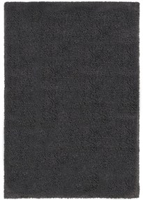 Flair Rugs koberce Kusový koberec Shaggy Teddy Charcoal - 120x170 cm