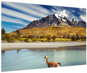 Obraz - Národný park Torres del Paine (90x60 cm)