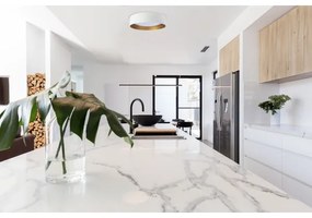 LED Stmievateľné stropné svietidlo SMART GALAXY LED/24W/230V biela/zlatá + DO